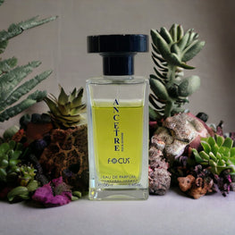 Ancetre men/unisex